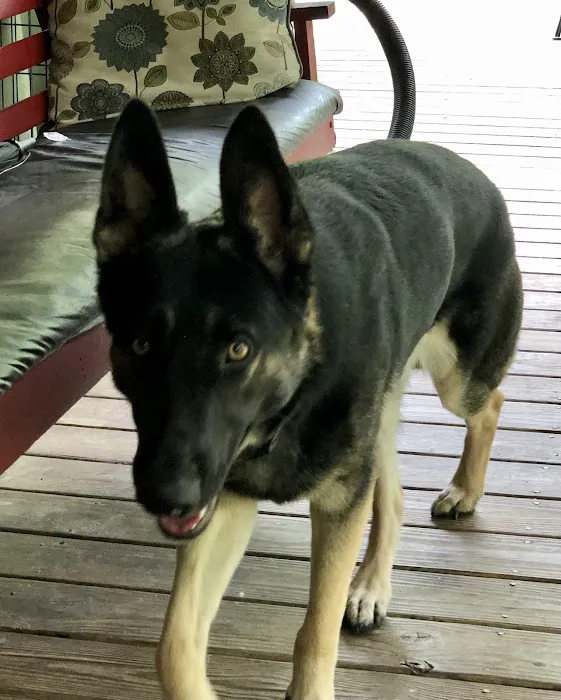 Farmstead Veterinary Medical Center Picture 1