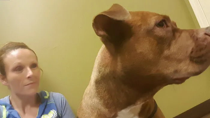 Farmstead Veterinary Medical Center Picture 8