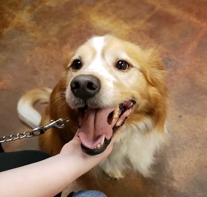 Farmstead Veterinary Medical Center Picture 7