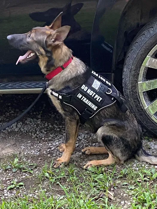 Farmstead Veterinary Medical Center Picture 6