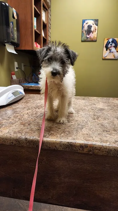 Farmstead Veterinary Medical Center Picture 10