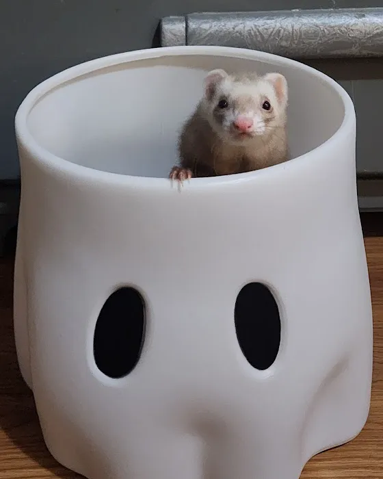 All Creatures Animal Clinic Jasper Picture 3