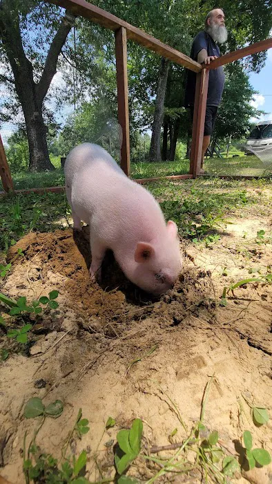 All Creatures Animal Clinic Jasper Picture 6