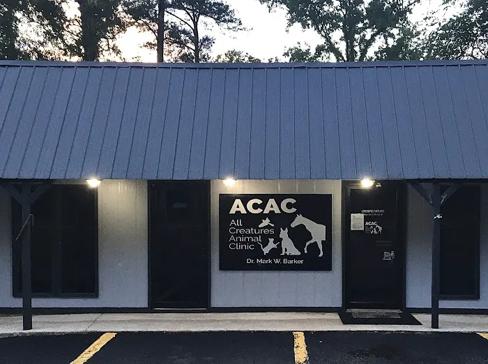 All Creatures Animal Clinic Jasper Picture 8