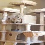 Oxmoor Animal Clinic