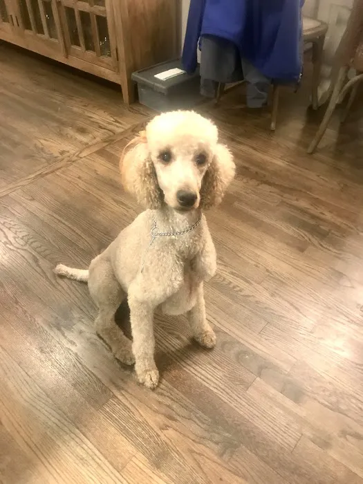 Oxmoor Animal Clinic Picture 7