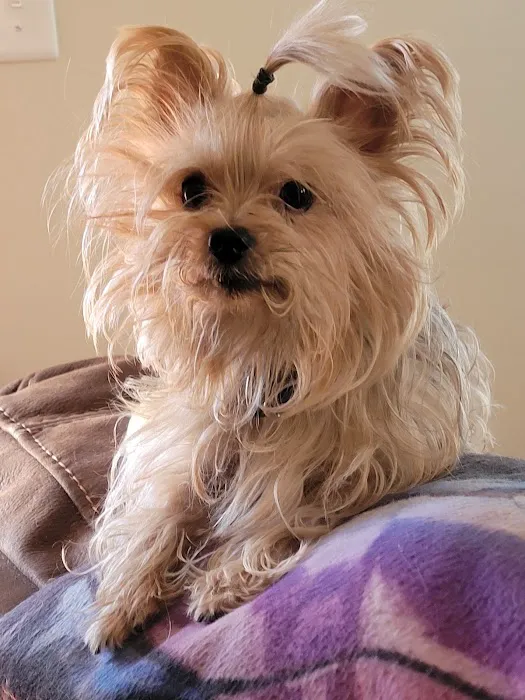 Oxmoor Animal Clinic Picture 9