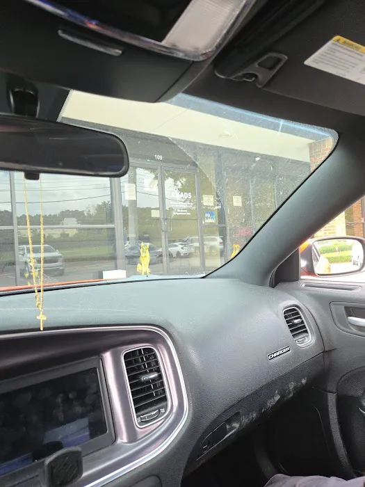 Alabama Veterinary Allergy and Dermatology Service Picture 1