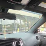 Alabama Veterinary Allergy and Dermatology Service