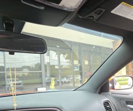 Alabama Veterinary Allergy and Dermatology Service