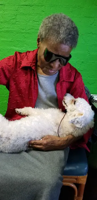 Alabama Veterinary Allergy and Dermatology Service Picture 6