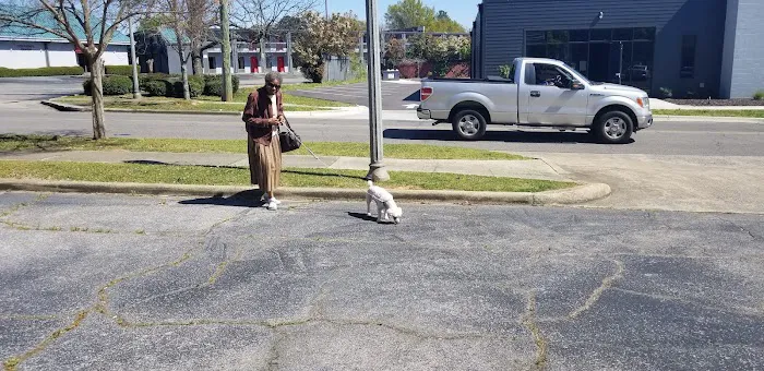 Alabama Veterinary Allergy and Dermatology Service Picture 3