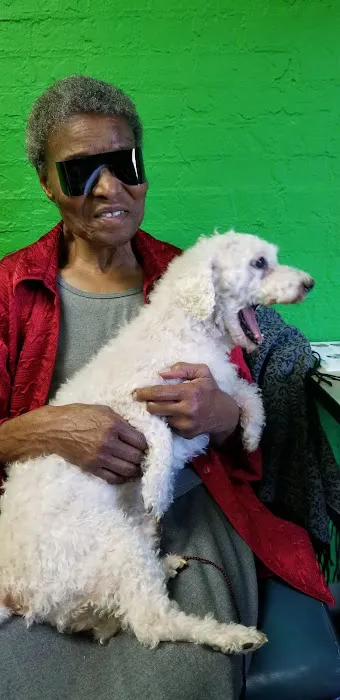 Alabama Veterinary Allergy and Dermatology Service Picture 8