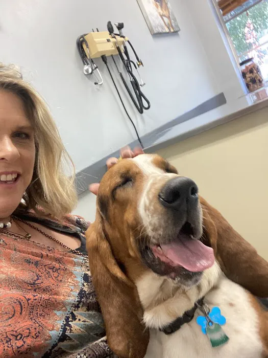 Homewood Animal Hospital Picture 7