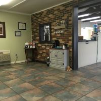 Green Springs Animal Clinic ico