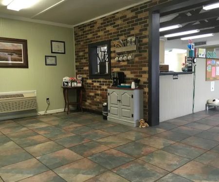 Green Springs Animal Clinic