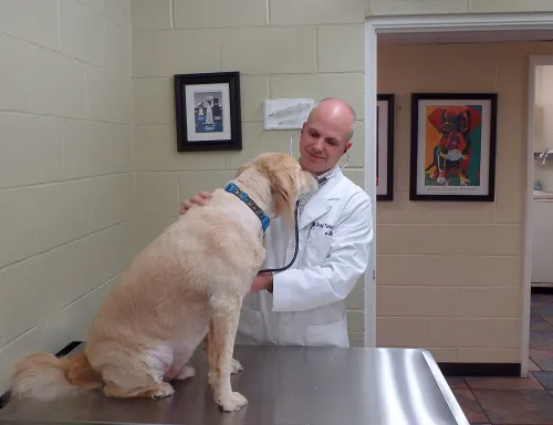 Green Springs Animal Clinic Picture 2