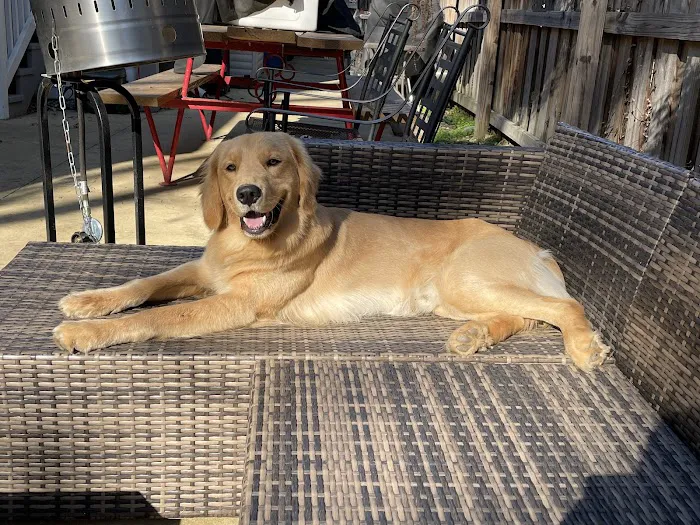 Green Springs Animal Clinic Picture 4