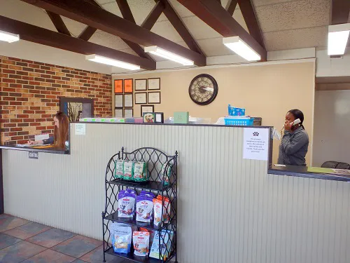 Green Springs Animal Clinic Picture 8