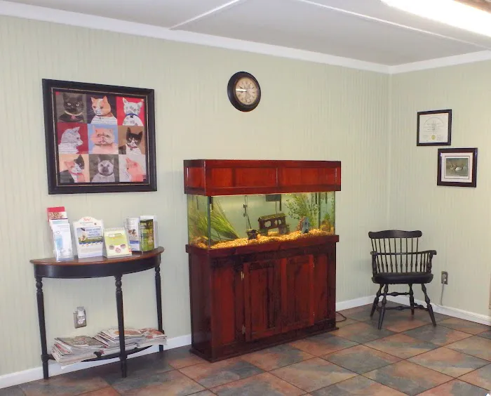 Green Springs Animal Clinic Picture 10