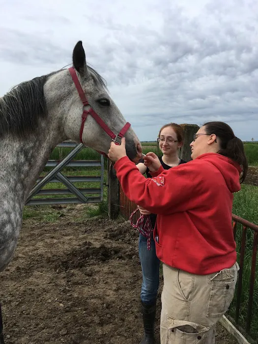 Community Veterinary Clinic Picture 2