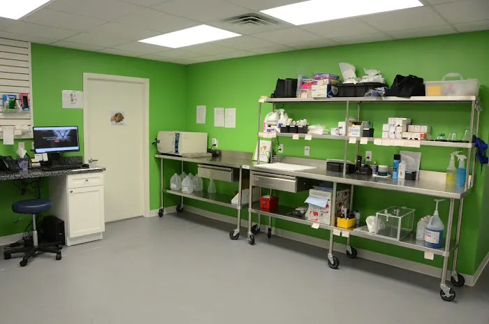 Community Veterinary Clinic Picture 4