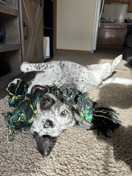 Community Veterinary Clinic Picture 7