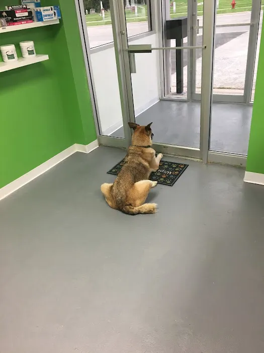 Community Veterinary Clinic Picture 10