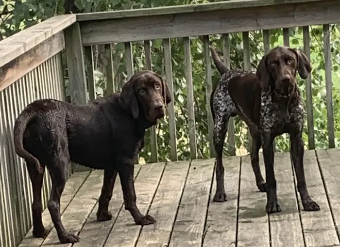 Nevada Veterinary Clinic Picture 1