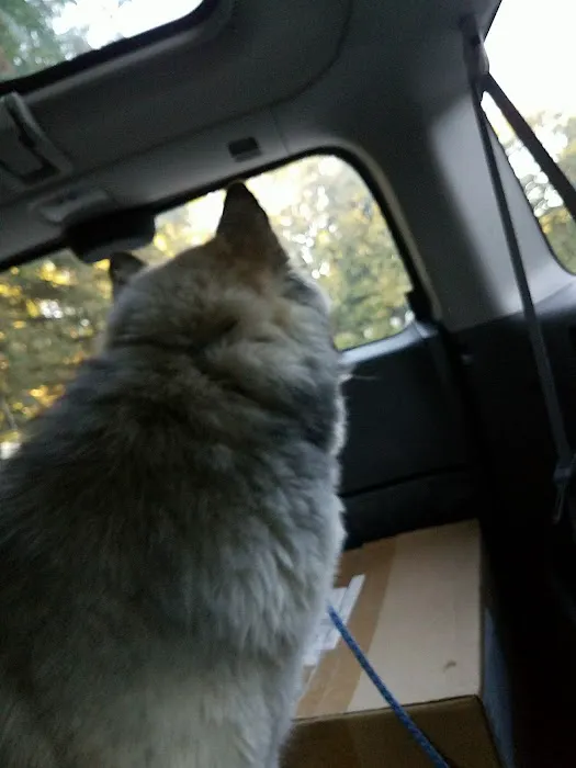 Nevada Veterinary Clinic Picture 2