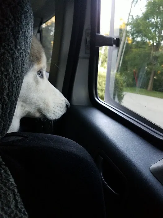 Nevada Veterinary Clinic Picture 6