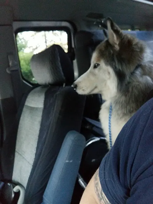 Nevada Veterinary Clinic Picture 4