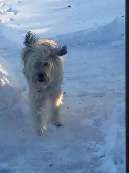 Nevada Veterinary Clinic Picture 3