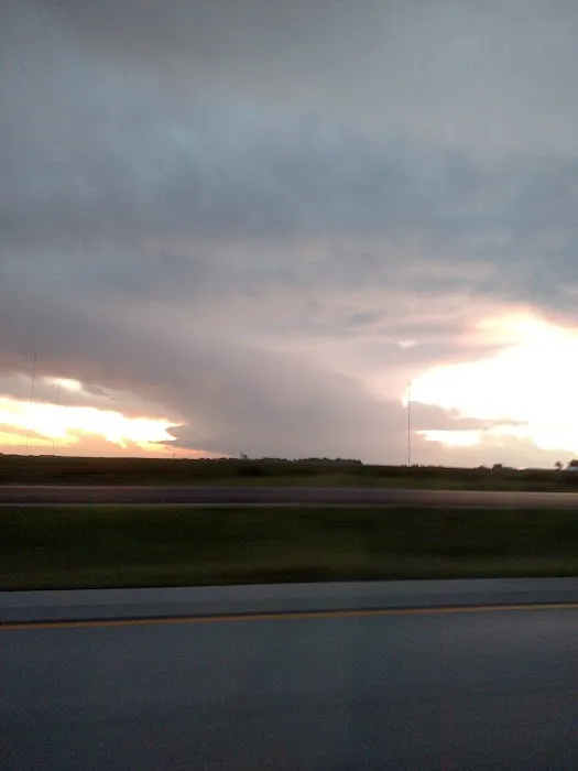 USDA Veterinary Services Picture 1