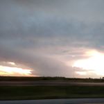 USDA Veterinary Services