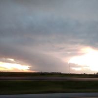 USDA Veterinary Services ico