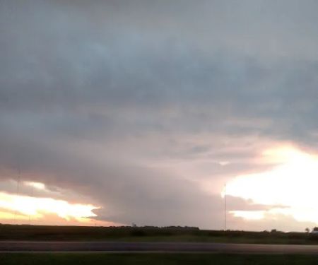 USDA Veterinary Services