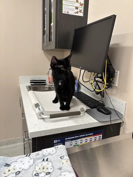 Somerset Veterinary Hospital Picture 1