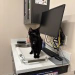 Somerset Veterinary Hospital