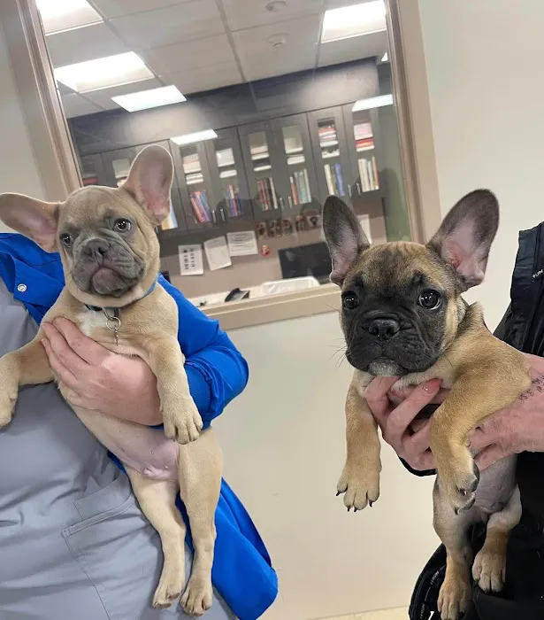 Somerset Veterinary Hospital Picture 4