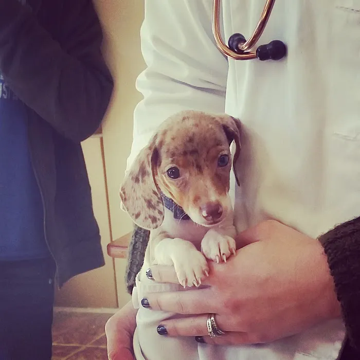 Somerset Veterinary Hospital Picture 6