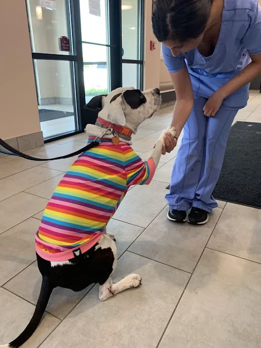 Somerset Veterinary Hospital Picture 5