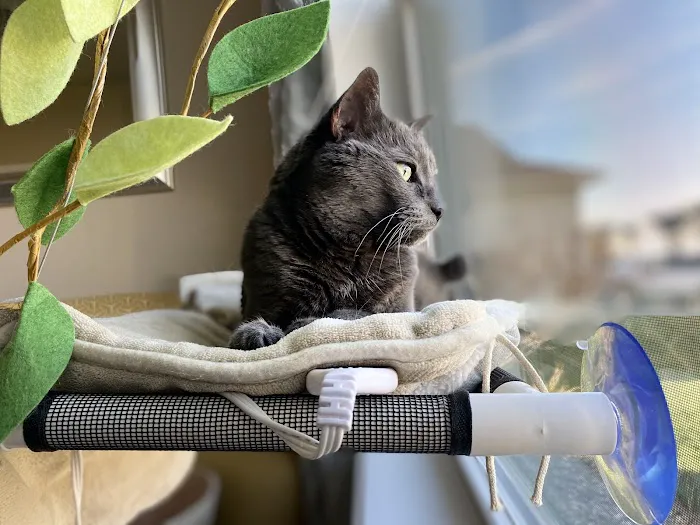 Somerset Veterinary Hospital Picture 3