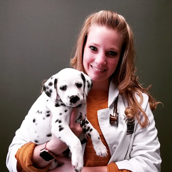 Somerset Veterinary Hospital Picture 10