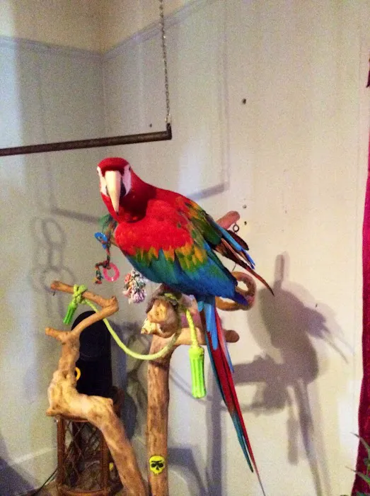 Story County Veterinary Clinic Picture 1