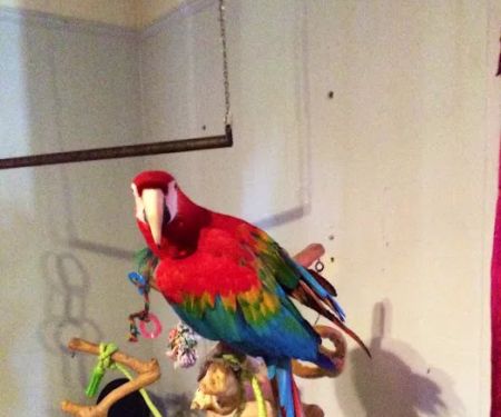 Story County Veterinary Clinic