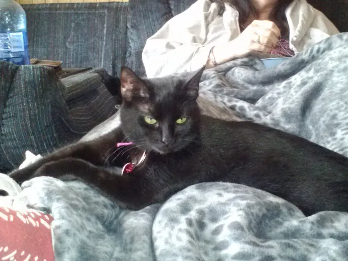 Story County Veterinary Clinic Picture 2