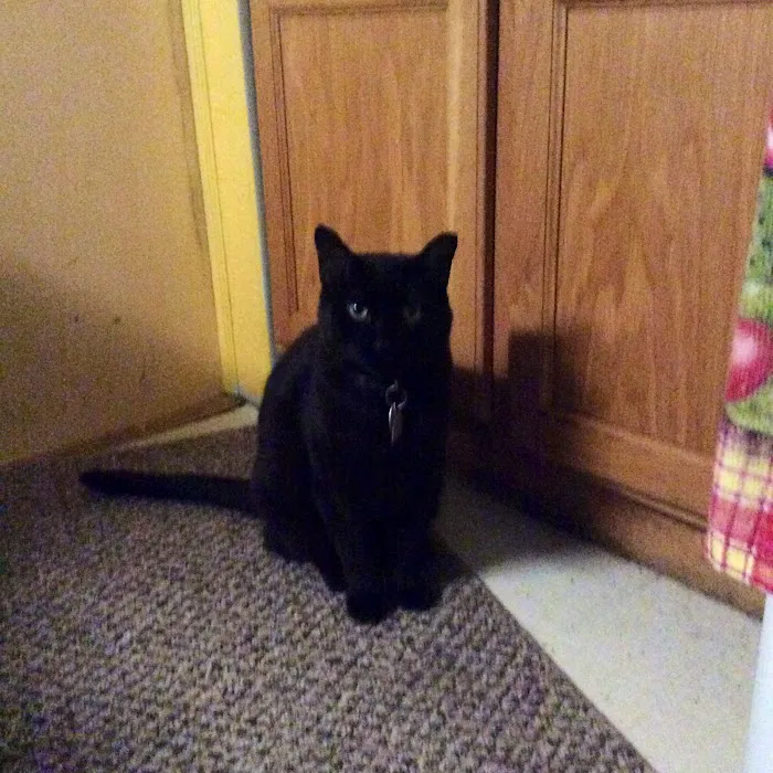 Story County Veterinary Clinic Picture 3