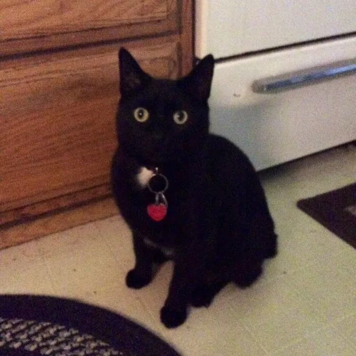 Story County Veterinary Clinic Picture 4