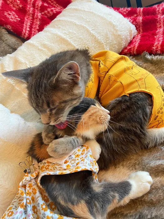 Story County Veterinary Clinic Picture 5